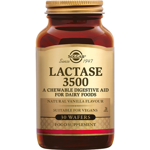 Koop Solgar Lactase 3500 Kauwtabletten