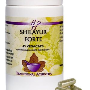 Koop Holisan Shilayur Forte Capsules