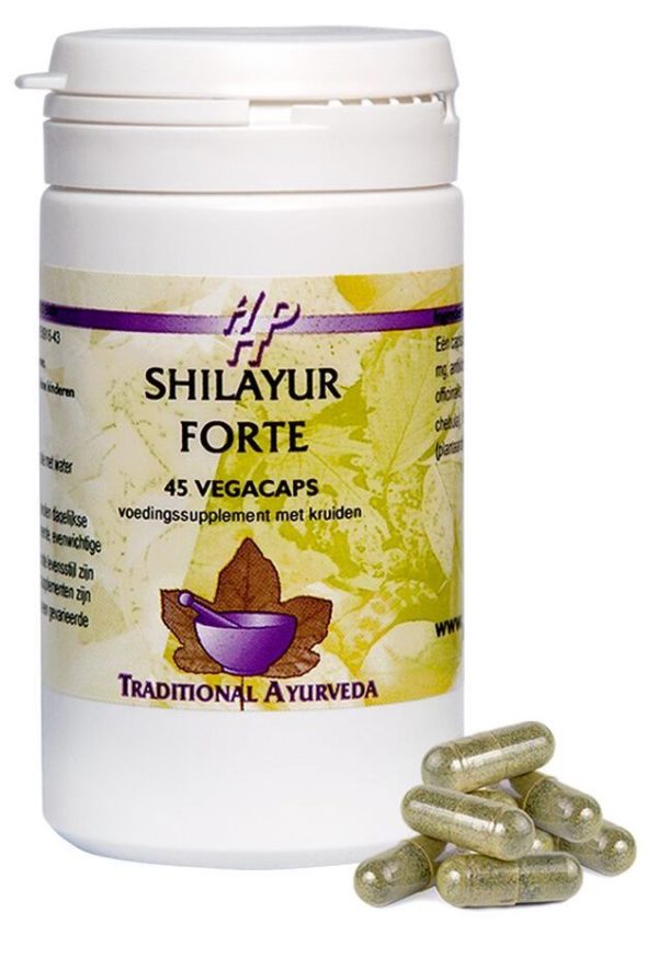 Koop Holisan Shilayur Forte Capsules