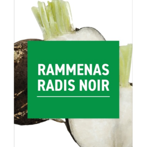 Koop Purasana Rammenas Capsules